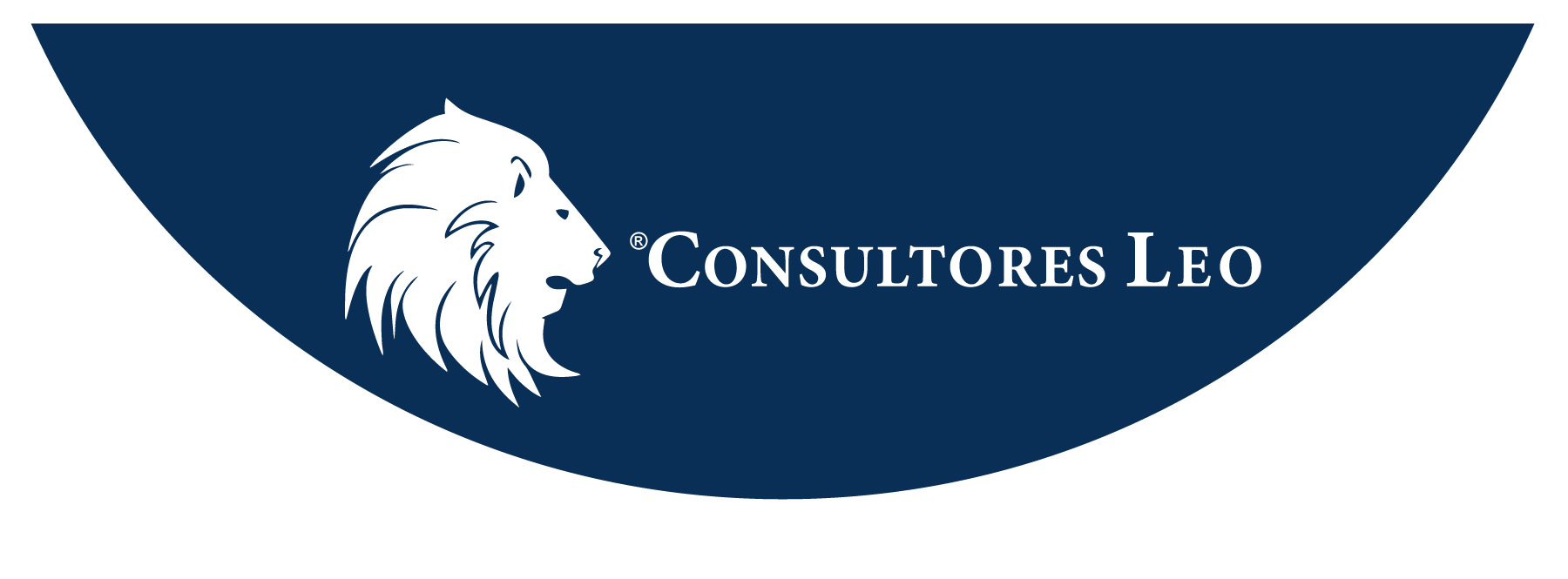 consultoresleo.com.mx